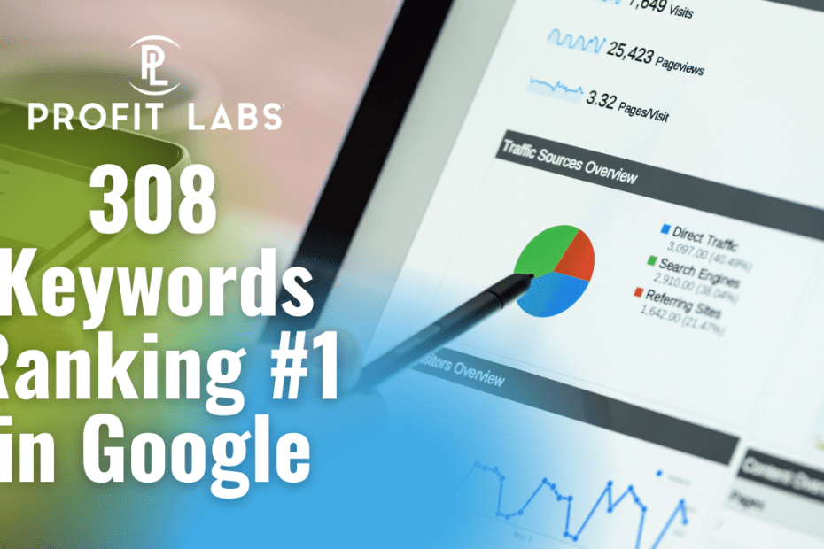 seo case study