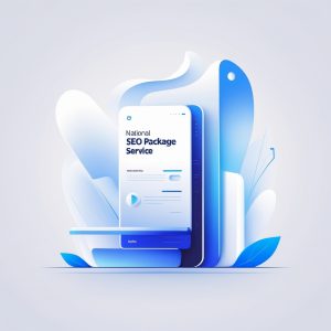 National SEO Package